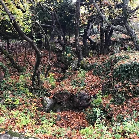 Villa Το Σπιτάκι Του Σπύρου à Oinokhorion Extérieur photo