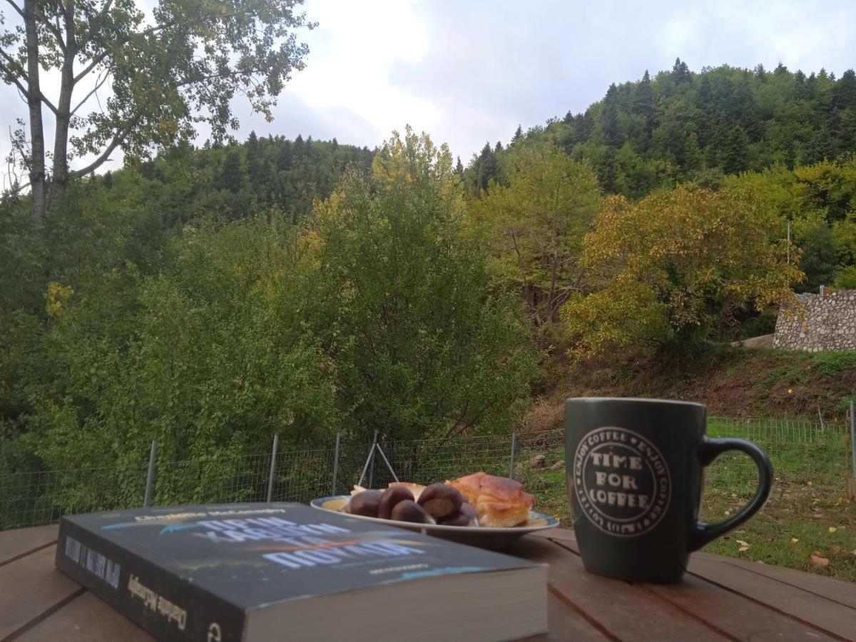 Hébergement de vacances το σπιτάκι του σπύρου